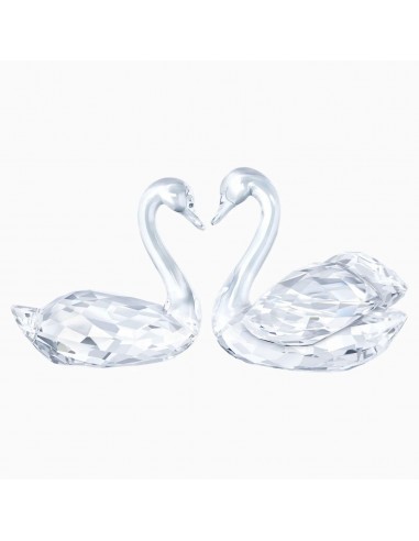 Swarovski Figurine - Swan Couple Clear Crystal | 5384056 Les êtres humains sont 