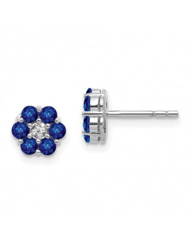 14K White Gold Polished Sapphire & Diamond Post Earrings Les êtres humains sont 