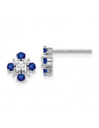 14k White Gold Blue Sapphire & Diamond Post Earrings de technologie