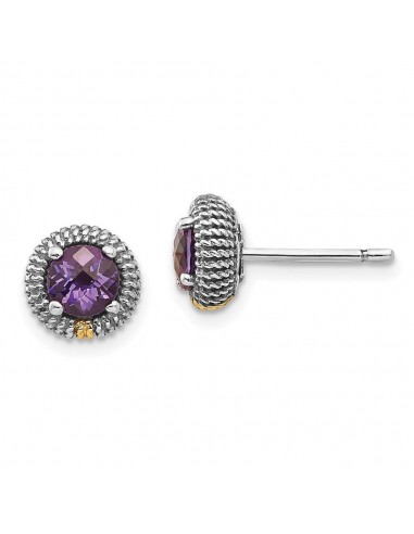 Sterling Silver w/14k Amethyst Post Earrings la colonne vertébrale