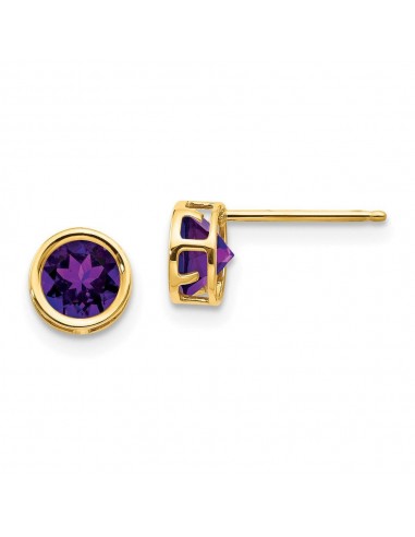 14k 5mm Bezel Amethyst Stud Earrings Amélioration de cerveau avec