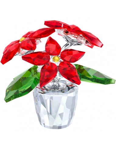 Swarovski Crystal Figurine - Poinsettia, Small | 5291023 Véritable concentré